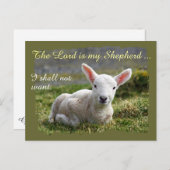 Heer is mijn Herder Klein Wit Lam Blank Briefkaart (Voorkant / Achterkant)