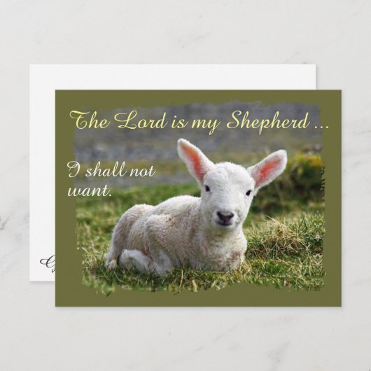 Heer is mijn Herder Klein Wit Lam Blank Briefkaart (Voorkant / Achterkant)