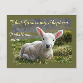 Heer is mijn Herder Klein Wit Lam Blank Briefkaart