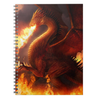Heer van de Dragons Notitieboek