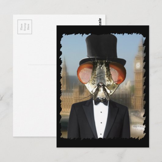 Heer van de vliegen briefkaart (Voorkant / Achterkant)