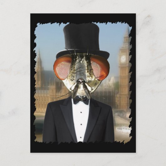 Heer van de vliegen briefkaart (Voorkant)