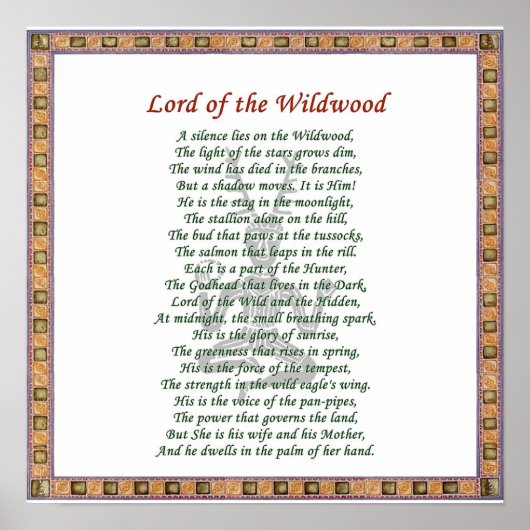 Heer van de Wildwood Poster (Voorkant)