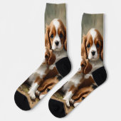 Heerlijk broed van Cavalier Spaniel Puppies, Sokken (Links)