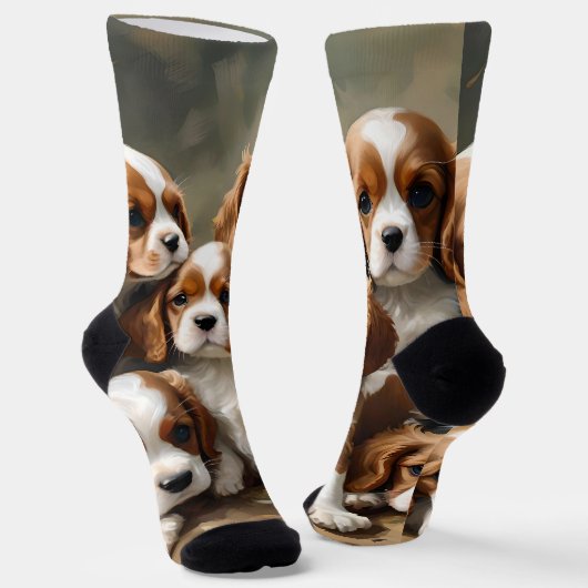 Heerlijk broed van Cavalier Spaniel Puppies, Sokken (Gebogen)