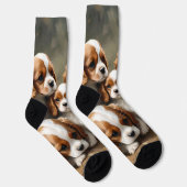 Heerlijk broed van Cavalier Spaniel Puppies, Sokken (Rechts)