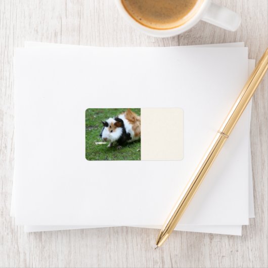 heerlijk cavia iv etiket (Insitu)