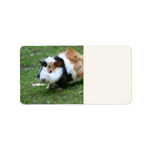 heerlijk cavia iv etiket (Voorkant)