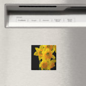 Heerlijk Gele en Oranje Daffodils Magneet (Insitu (Vaatwasser))