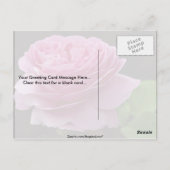 Heerlijk Hybrid Tea Roos 'Heirloom' Briefkaart (Achterkant)