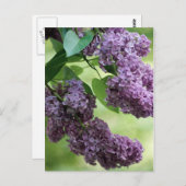 Heerlijk lente Briefkaart (Voorkant / Achterkant)