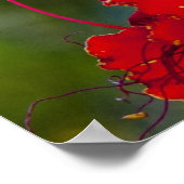 heerlijk poster (Hoek)