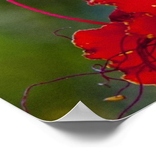 heerlijk poster (Hoek)