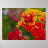 heerlijk poster (Voorkant)