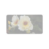 Heerlijk struik Roos 'Golden Wings' Etiket (Voorkant)