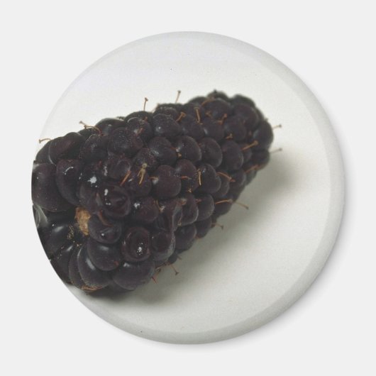 Heerlijke Blackberry Magneet (Voorkant)