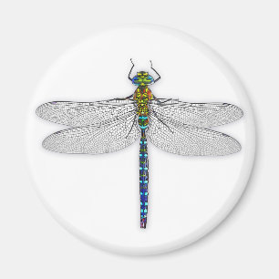 Heerlijke Dragonfly magneet
