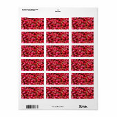 Heerlijke fruitige rode kersen fruit voedselpatroo etiket (Full Sheet)