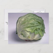 Heerlijke ijsbergsla briefkaart (Voorkant / Achterkant)