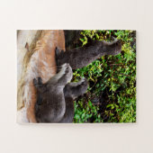 Heerlijke kleine grijze otters, legpuzzel (Horizontaal)