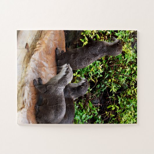 Heerlijke kleine grijze otters, legpuzzel (Horizontaal)