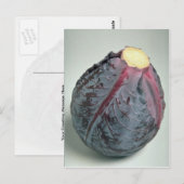 Heerlijke kool briefkaart (Voorkant / Achterkant)