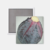 Heerlijke kool magneet (Voorkant / Achterkant)
