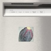 Heerlijke kool magneet (Insitu (Vaatwasser))