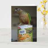 heerlijke mandarin kaart (Gele Bloem)