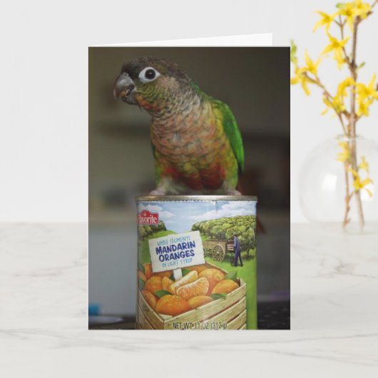 heerlijke mandarin kaart (Gele Bloem)