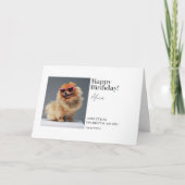 Heerlijke Pomeranian Custom Gevouwen Verjaardag Ka Kaart (Voorkant)