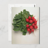 Heerlijke radijzen briefkaart (Voorkant / Achterkant)