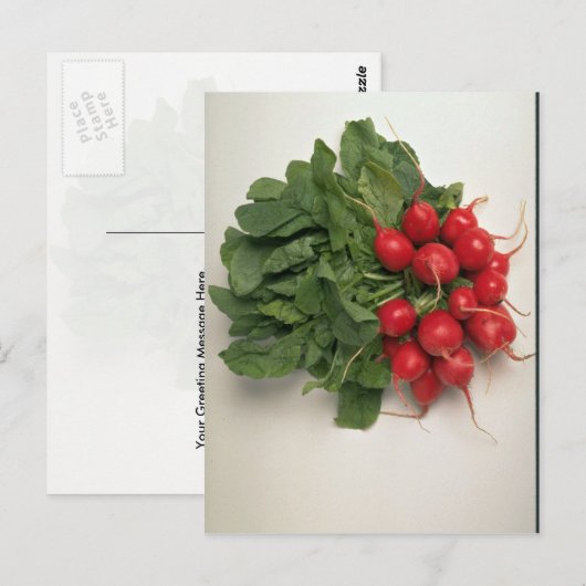 Heerlijke radijzen briefkaart (Voorkant / Achterkant)