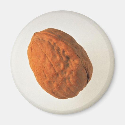 Heerlijke walnoot magneet (Voorkant)