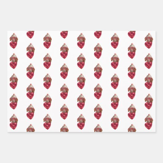 Heest Brown Dachshund Hondenliefhebber Valentijns  Inpakpapier Vel (Voorkant 3)