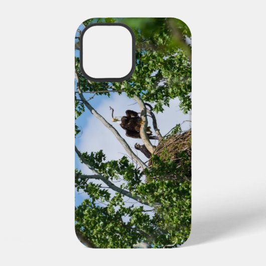 Heet Adelaars iPhone Hoesje iPhone 12 Hoesje (Achterkant)