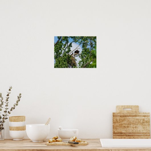 Heet Eagles Poster (Keuken)