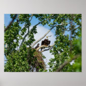 Heet Eagles Poster (Voorkant)