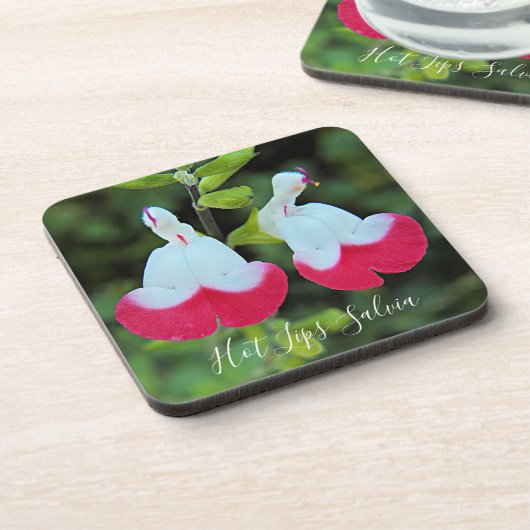 Heet Lips Salvia Floral Bier Onderzetter (Linkerzijde)