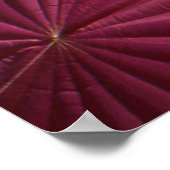 Heet-luchtballonnen Albuquerque - Fotofoto's afdru Poster (Hoek)