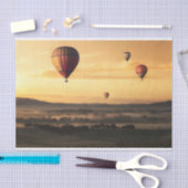 Heet luchtballonnen — Prachtige Natuur Tissuepapier (Craft)