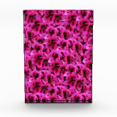 Heet magenta Geranium Flowers Fotoblokken (Voorkant)