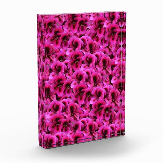Heet magenta Geranium Flowers Fotoblokken (Links)