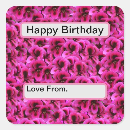 Heet magenta Geranium Flowers Vierkante Sticker (Voorkant)