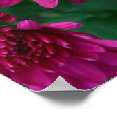 Heet Mam. Poster (Hoek)