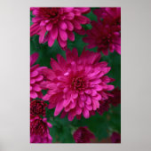 Heet Mam. Poster (Voorkant)