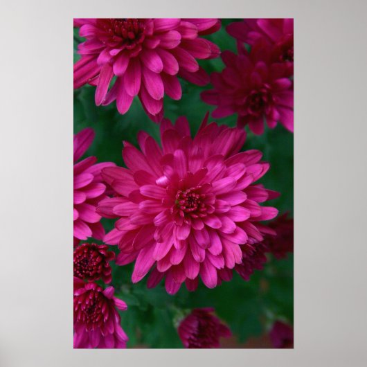 Heet Mam. Poster (Voorkant)