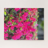 Heet Roze Azalea, Seoul Legpuzzel (Horizontaal)