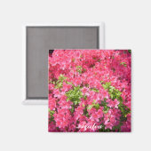 Heet roze Azalea's Magneet (Voorkant / Achterkant)