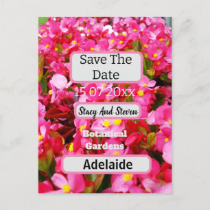 Heet Roze Begonia Bloemen Bewaar de datum, Briefkaart